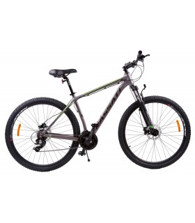 Passati Egbert 29'' alu R+F DISC