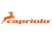 Capriolo